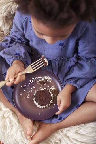 Biscuits Au Chocolat Et Au Quinoa